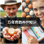 万年青的养护知识(图4) 万年青的养护知识(图4)