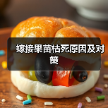 嫁接果苗枯死原因及对策（图3）