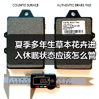 夏季多年生草本花卉进入休眠状态应该怎么管理