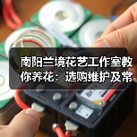 南阳兰境花艺工作室教你养花：选购维护及常见问题指南（图4）
