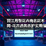 晋江月型花卉南北花木网-花卉选购养护实用指南2026(图2) 晋江月型花卉南北花木网-花卉选购养护实用指南2026(图2)
