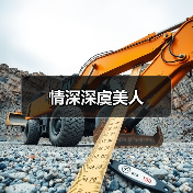 情深深虞美人（图4）