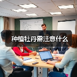 种植牡丹需注意什么