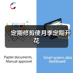 定期修剪使月季定期开花（图3）