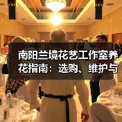 南阳兰境花艺工作室养花指南:选购、维护与常见问题解析(图3) 南阳兰境花艺工作室养花指南:选购、维护与常见问题解析(图3)