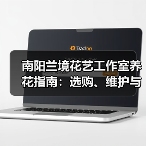 南阳兰境花艺工作室养花指南:选购、维护与常见问题解析(图4) 南阳兰境花艺工作室养花指南:选购、维护与常见问题解析(图4)