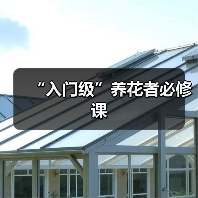“入门级”养花者必修课(图3) “入门级”养花者必修课(图3)