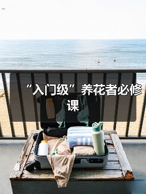 “入门级”养花者必修课(图2) “入门级”养花者必修课(图2)