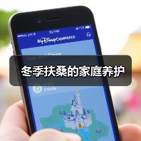 冬季扶桑的家庭养护