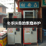 冬季扶桑的家庭养护(图3) 冬季扶桑的家庭养护(图3)