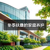 冬季扶桑的家庭养护(图4) 冬季扶桑的家庭养护(图4)