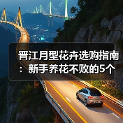 晋江月型花卉选购指南:新手养花不败的5个核心方法(图3) 晋江月型花卉选购指南:新手养花不败的5个核心方法(图3)