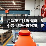 月型花卉挑选指南：5个方法轻松选对花，新手必看（图4）