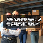 月型花卉养护指南:从需求判断到日常维护5大方法(图2) 月型花卉养护指南:从需求判断到日常维护5大方法(图2)