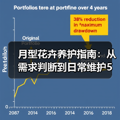 月型花卉养护指南:从需求判断到日常维护5大方法(图4) 月型花卉养护指南:从需求判断到日常维护5大方法(图4)