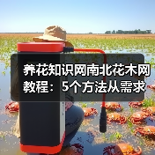 养花知识网南北花木网教程：5个方法从需求
