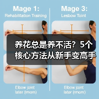 养花总是养不活?5个核心方法从新手变高手(图1) 养花总是养不活?5个核心方法从新手变高手(图1)