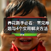 养花新手必看:常见难题与4个实用解决方法(图1) 养花新手必看:常见难题与4个实用解决方法(图1)