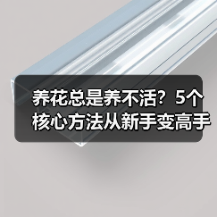 养花总是养不活?5个核心方法从新手变高手(图2) 养花总是养不活?5个核心方法从新手变高手(图2)