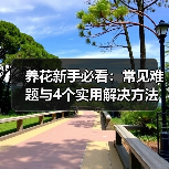 养花新手必看：常见难题与4个实用解决方法