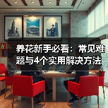 养花新手必看:常见难题与4个实用解决方法(图3) 养花新手必看:常见难题与4个实用解决方法(图3)