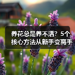 养花总是养不活？5个核心方法从新手变高手