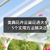 美典花卉云巢花语大全：5个实用方法解决选