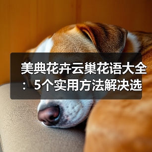 美典花卉云巢花语大全:5个实用方法解决选花难题(图1) 美典花卉云巢花语大全:5个实用方法解决选花难题(图1)