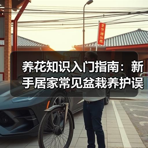 养花知识入门指南：新手居家常见盆栽养护误