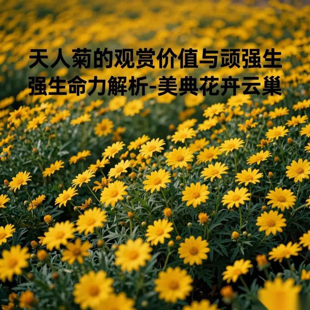 天人菊的观赏价值与顽强生命力解析-美典花 天人菊的观赏价值与顽强生命力解析-美典花