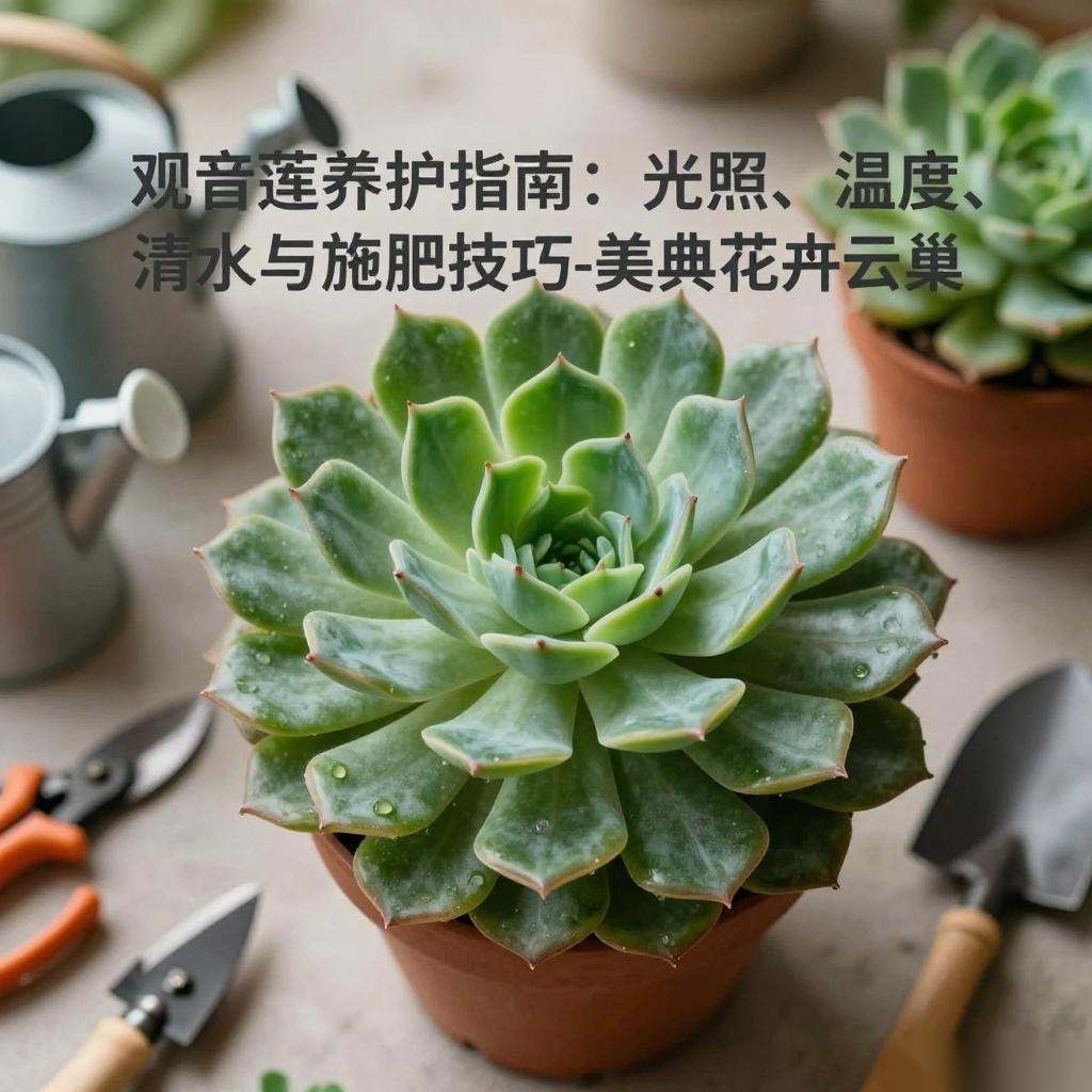 观音莲养护指南:光照、温度、浇水与施肥技巧-美典花卉云巢