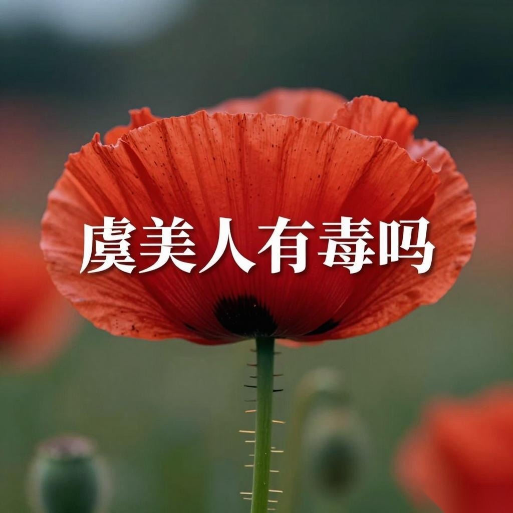 虞美人有毒吗