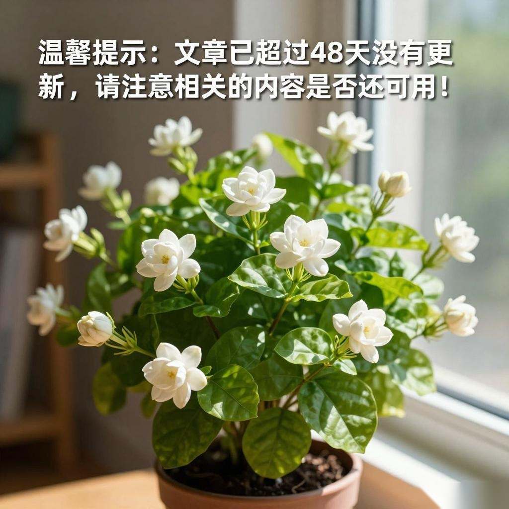 茉莉花喜欢什么生活环境 茉莉花喜欢在什么样的环境中生长