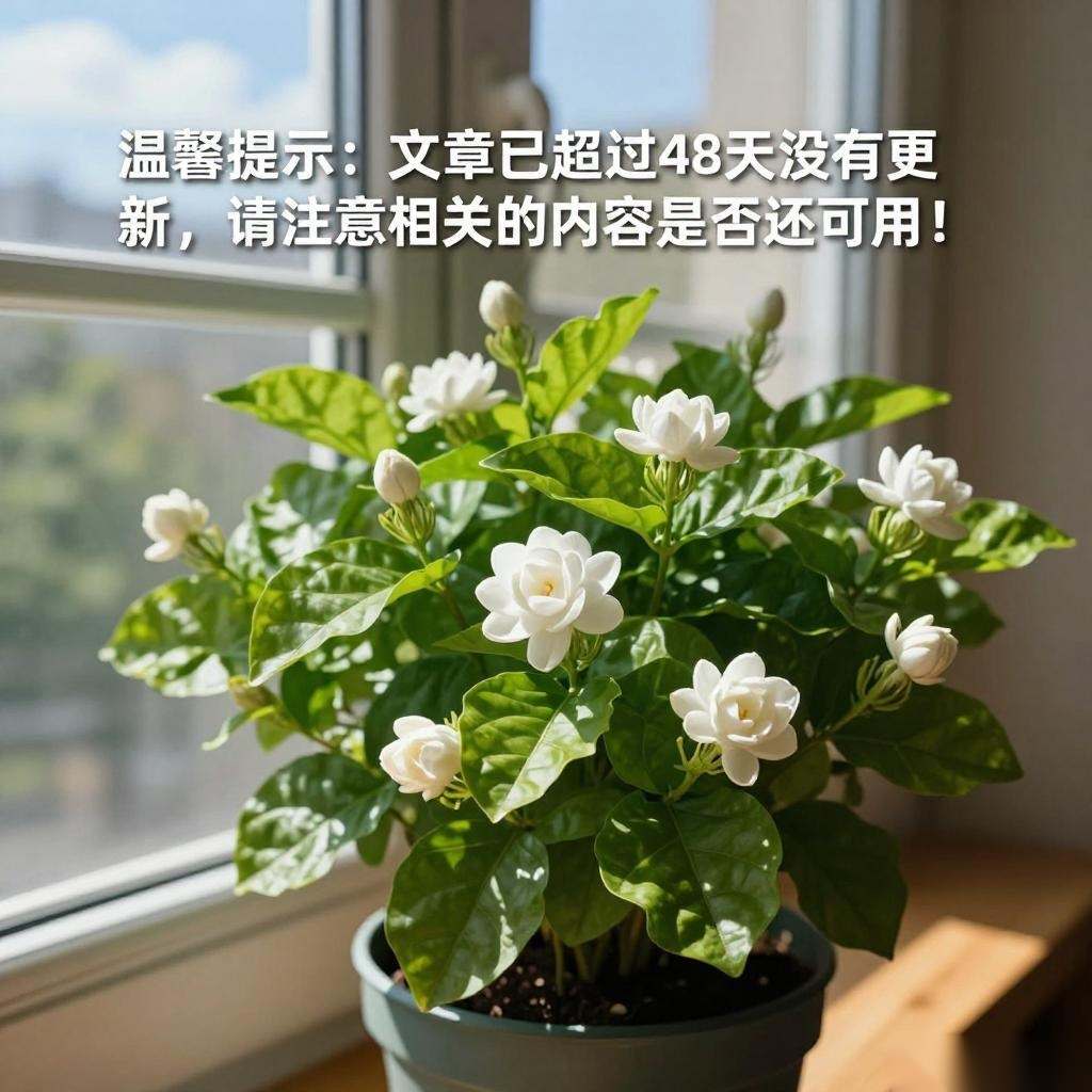 茉莉花喜欢什么生活环境 茉莉花喜欢在什么样的环境中生长