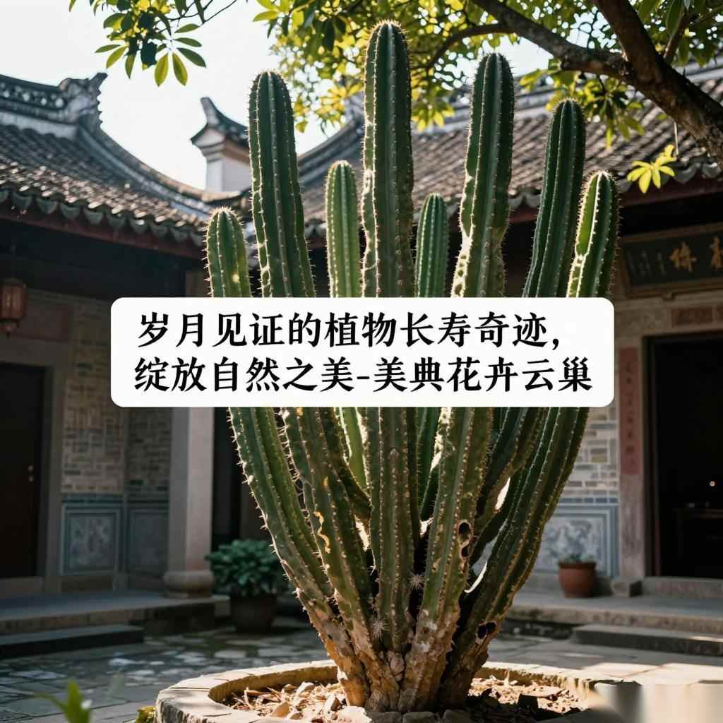 岁月见证的植物长寿奇迹,绽放自然之美-美典花卉云巢