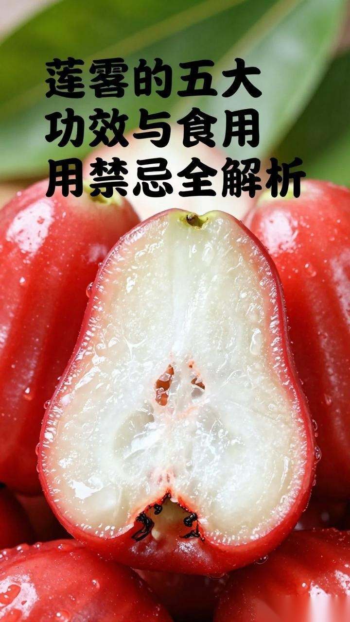 莲雾的五大功效与食用禁忌全解析-美典花卉云巢