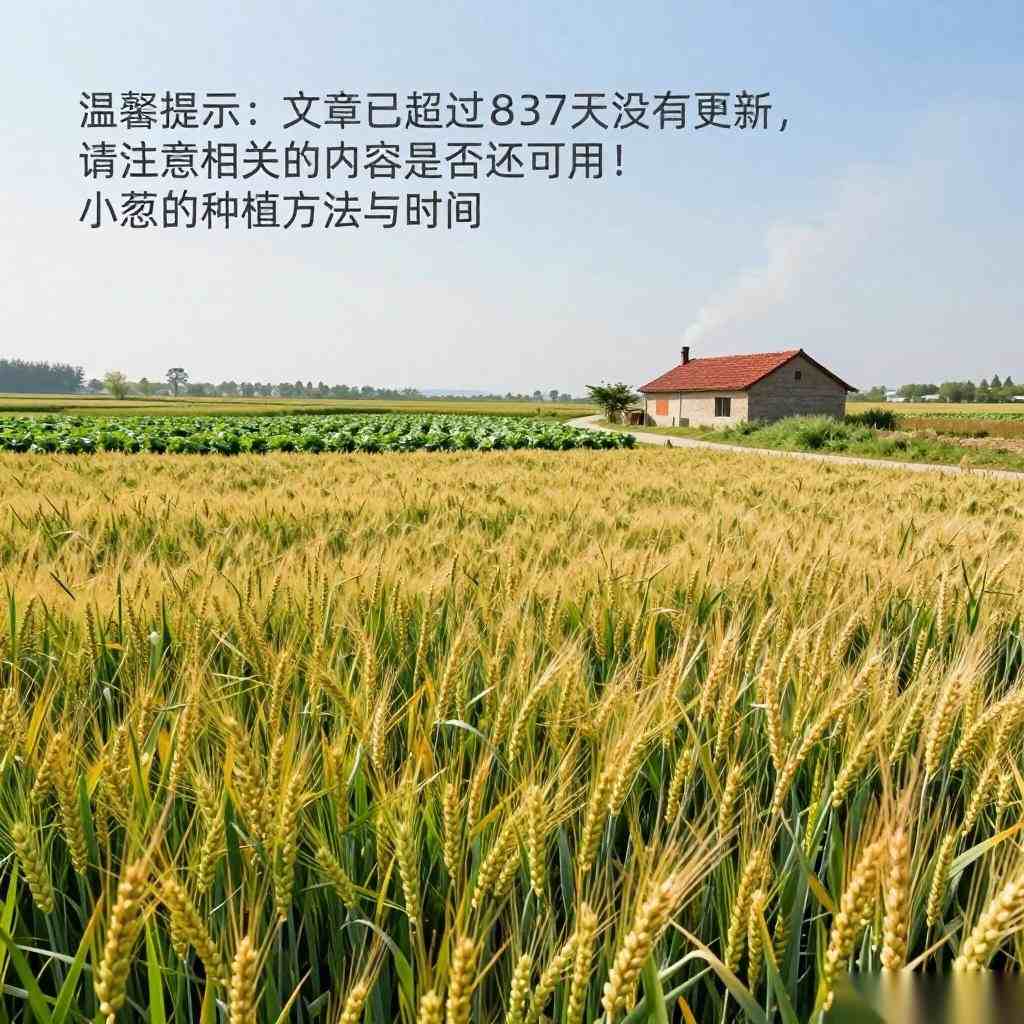 小葱的种植方法与时间