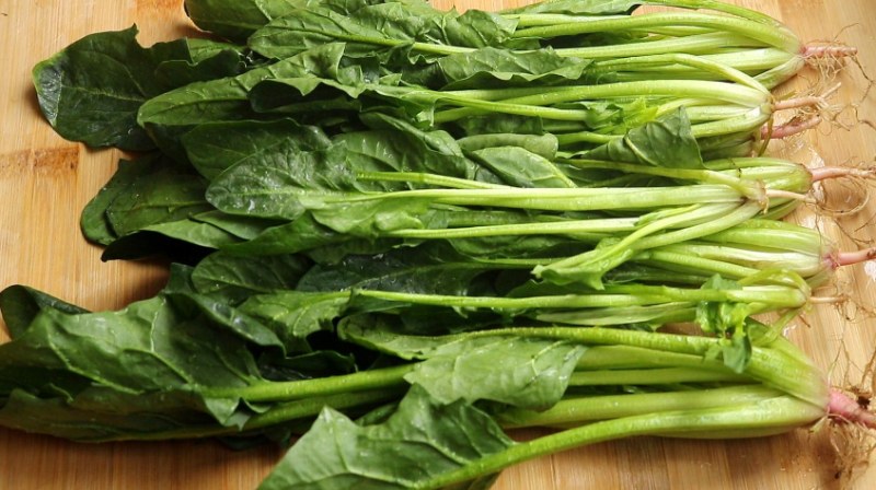 菠菜种植方法与养护技巧，从播种到采收全指